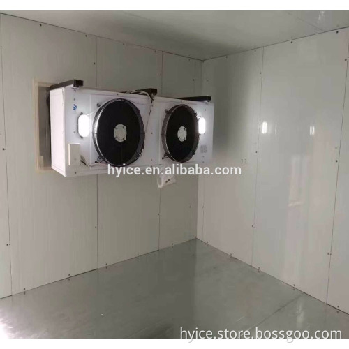Factory dircet supply high quality PU sandwich panel cold room/food and vegetable cold storage